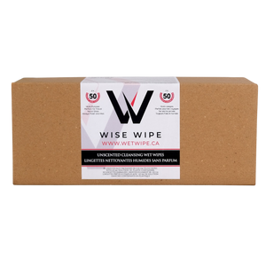 Box of Wise Wipe cleaning wet wipes with a visible brand label on a white background